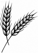 Рисунки пшеницы для срисовки (30 фото) • Прикольные картинки и позитив